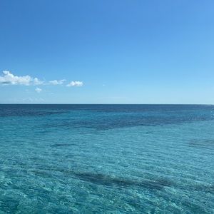 Meet your Posher, Cayden